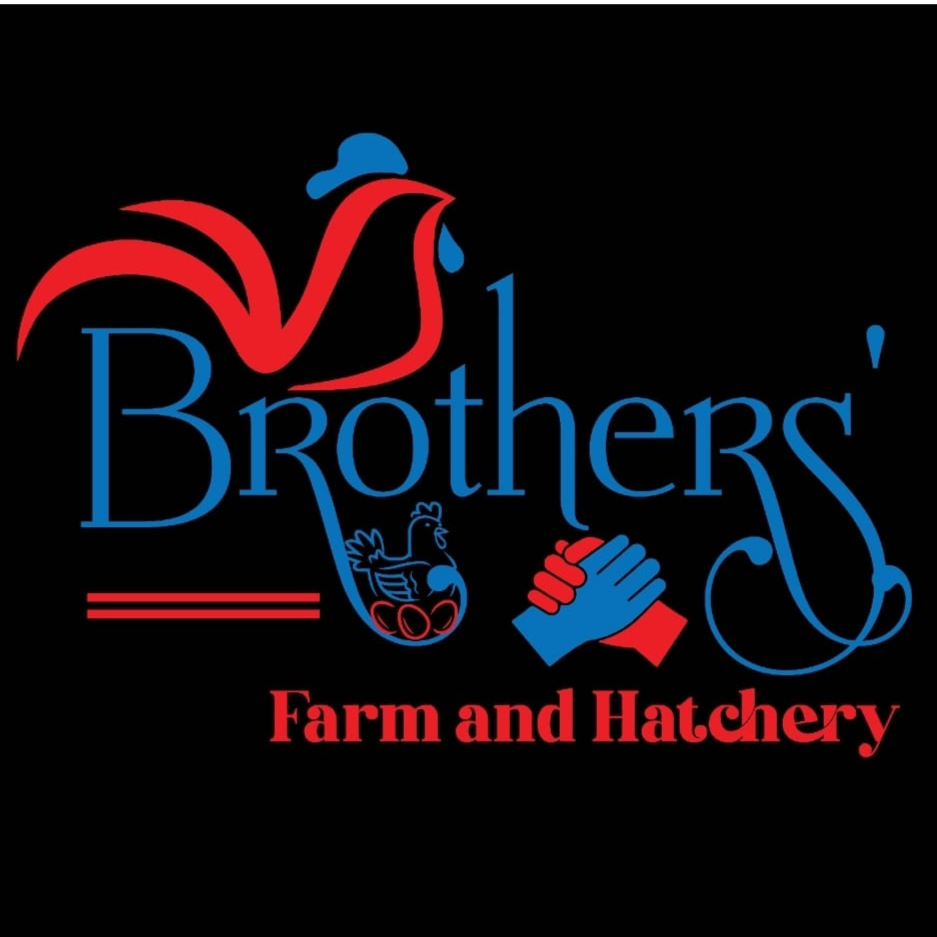 Tetimonials, Brothers' Farm and Hatchery